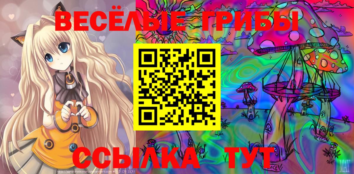 Псилоцибиновые грибы MAGIC MUSHROOMS  Галлюциногенные грибы мухоморы  Вход с VPN  Дубна 