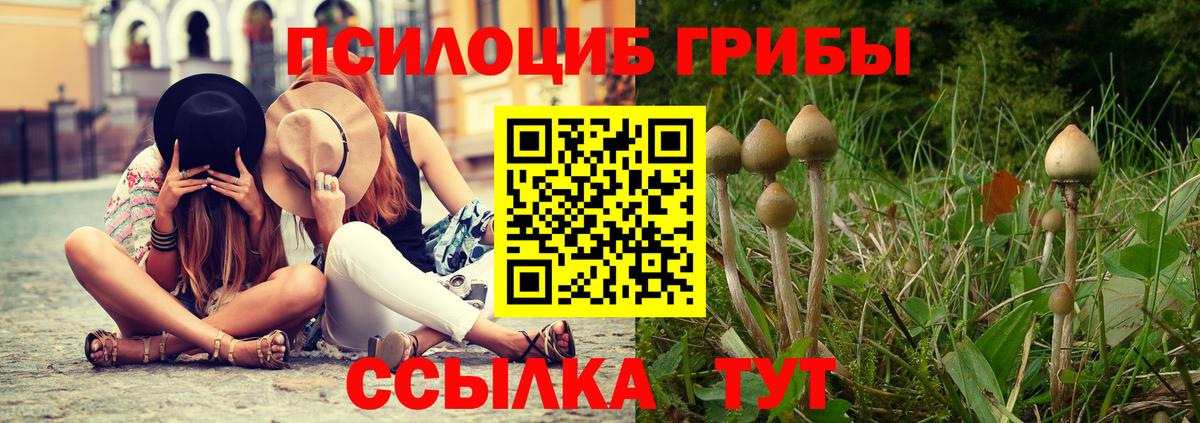 Галлюциногенные грибы мухоморы Дубна